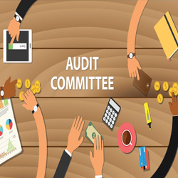 250 audit
