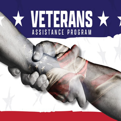 250 vet assistance